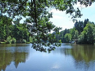 Around the Hasselfurth pond