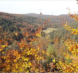 Autour des moines de Sturzelbronn