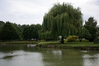 Le Pas de Goubert