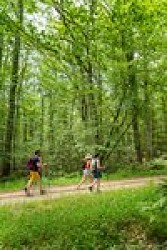 Saint-Benoît-la-Forêt - N°1