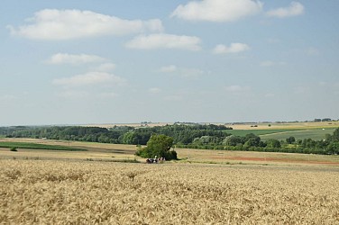 Thizay - sentier des marais