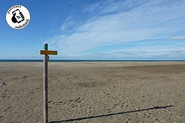 Balade sur le bord de mer sauvage