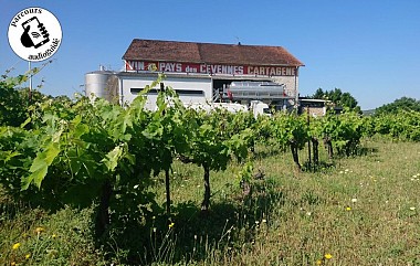 Balade sur le terroir IGP Cévennes