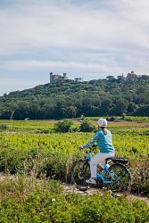 Boucle cyclo-découverte de la Vallée du Rhône
