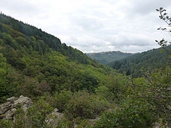 The Arboretum and the River Vis