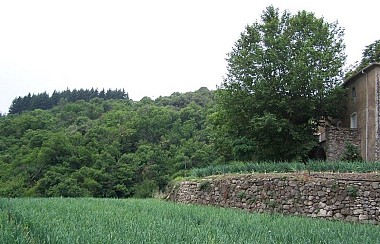 L’Arboux