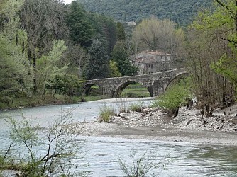 Les berges du Gardon