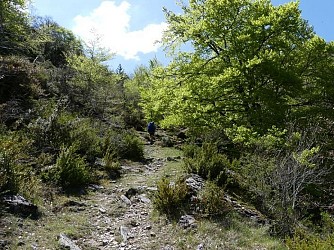 The panoramic Cévennes via Mont Aigoual