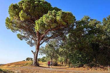 La voie romaine