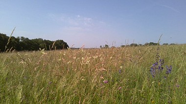 Le sentier du Cayla