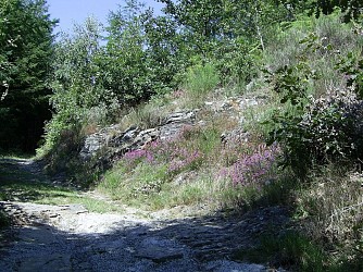 Les Escaunelles
