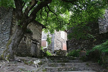 Malefayère