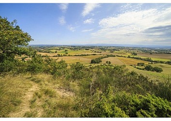 Sentier de l'ail
