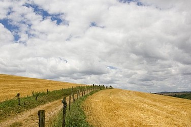 Sentier des crêtes (variante)