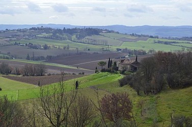 In the footsteps of Gaudentius