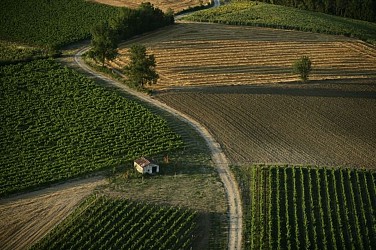 Vignoble et châteaux