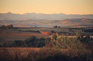 Le Chemin de Dominique depuis Fanjeaux