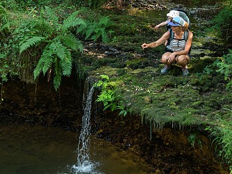 La tourbière du Manas