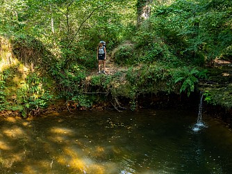 Bois de Poey