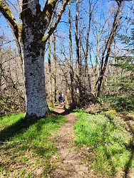 Chemin de mémoire des enfants de Montintin