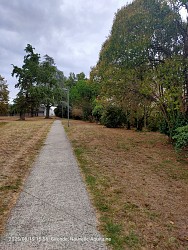 Balade à roulettes : Parc des Griffons