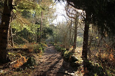 Sentier des Mégalithes de Daniecq