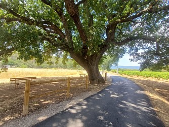 Sentier botanique des rives de l'Issole
