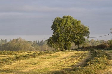 Circuit de la Cossonière
