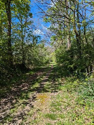 Circuit "La Forêt de Machecoul"