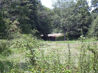 La vallée de Rideau