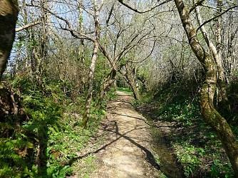 Les coteaux d'Ermur