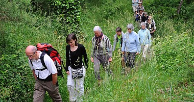 Sentier de la Grée