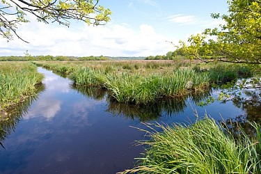Sentier du Marais de la Roche