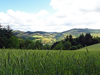 Tarare - Les trois cols