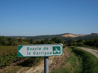 Garrigue loop