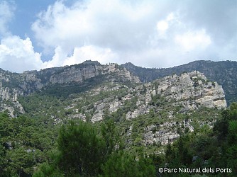 Image du circuit