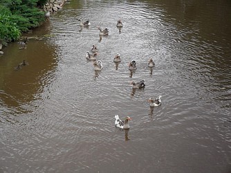 Balade à énigme La Bruche au fil de l'eau