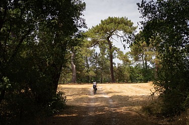 Gravel (non jalonné) - du bord de creuse aux étangs en passant par le château d'azay-le-ferron