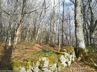 Sentier découverte ONF