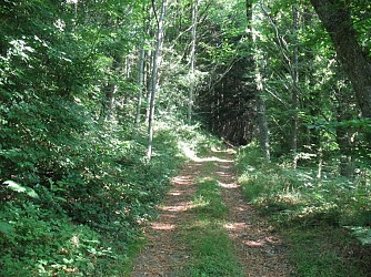 The Panoramas