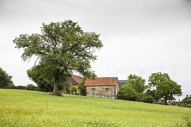 Parcours-découverte de Maisoncelles