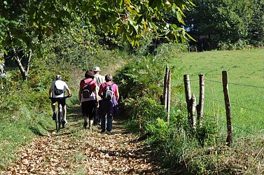 Circuit des Planches