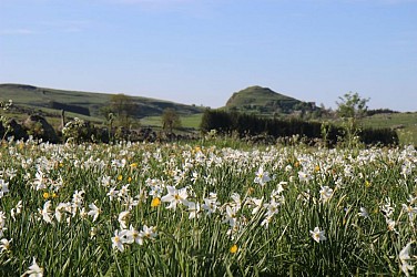 La Motte de Marchastel