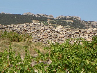 Hiking Trail: The Courens Plateau