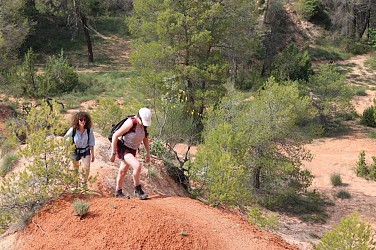 GARGAS - Colline de Perréal