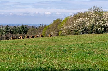Boucle des chemins creux