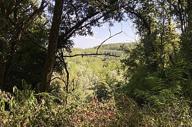 Circuit des Bois d'Orchaise