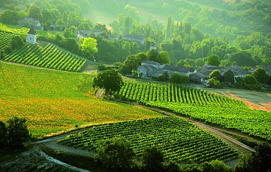 Tour du Tarn à cheval : Cahuzac-sur-Vère / Les Cabannes