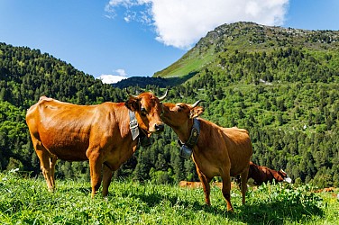 Sentier piéton - B14 - Les Alpages de l'Altiport Départ Méribel-Mottaret