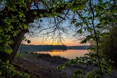 Réserve de chasse et de faune sauvage de Malzoné